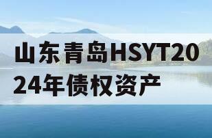 山东青岛HSYT2024年债权资产