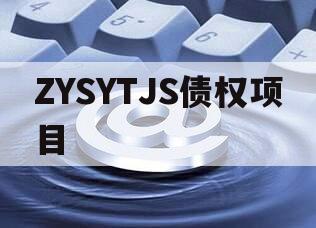 ZYSYTJS债权项目