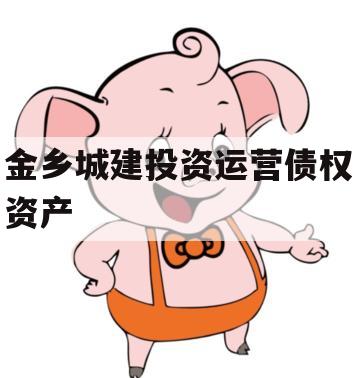 金乡城建投资运营债权资产