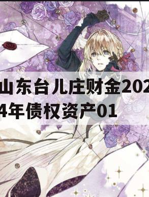 山东台儿庄财金2024年债权资产01