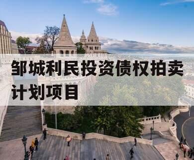 邹城利民投资债权拍卖计划项目