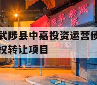 武陟县中嘉投资运营债权转让项目