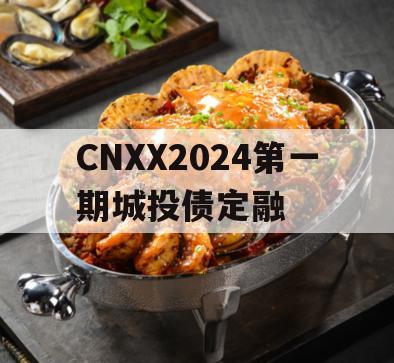 CNXX2024第一期城投债定融