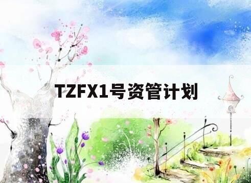 TZFX1号资管计划