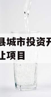 内黄县城市投资开发债权转让项目