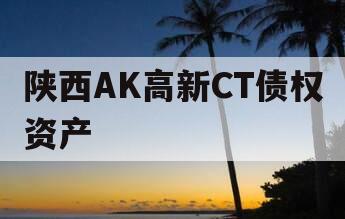 陕西AK高新CT债权资产