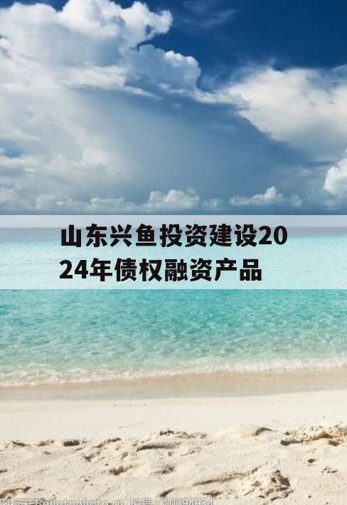 山东兴鱼投资建设2024年债权融资产品