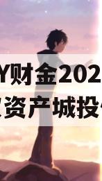 山东DY财金2024年债权资产城投债定融