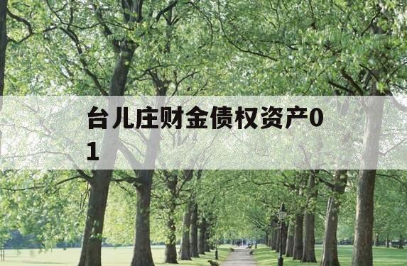 台儿庄财金债权资产01