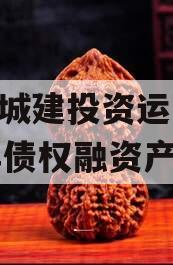 金乡城建投资运营2024年债权融资产品