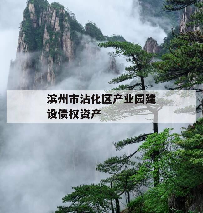滨州市沾化区产业园建设债权资产