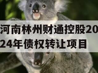河南林州财通控股2024年债权转让项目