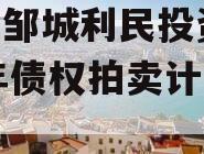 山东邹城利民投资2024年债权拍卖计划项目