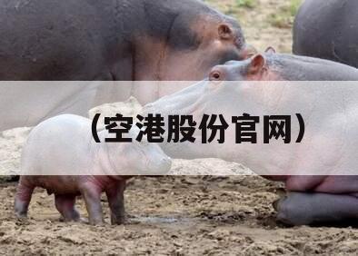 （空港股份官网）