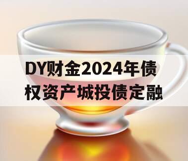 DY财金2024年债权资产城投债定融