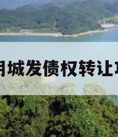 汤阴城发债权转让项目