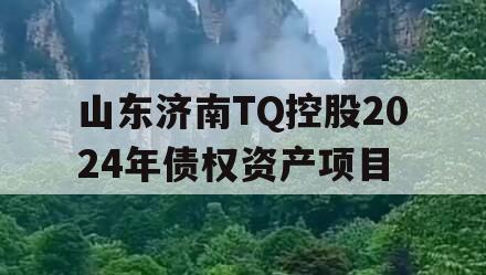 山东济南TQ控股2024年债权资产项目