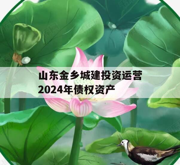 山东金乡城建投资运营2024年债权资产