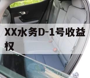 XX水务D-1号收益权