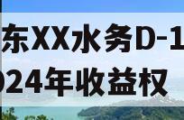 山东XX水务D-1号2024年收益权