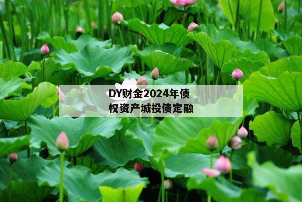 DY财金2024年债权资产城投债定融