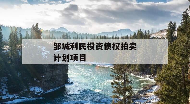 邹城利民投资债权拍卖计划项目