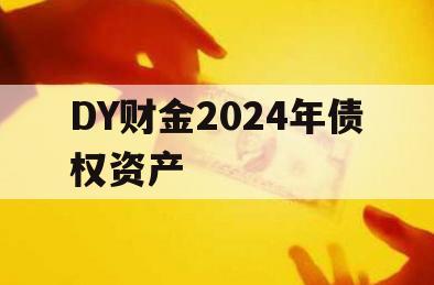 DY财金2024年债权资产