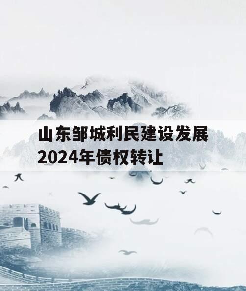山东邹城利民建设发展2024年债权转让