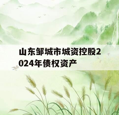 山东邹城市城资控股2024年债权资产
