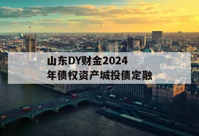 山东DY财金2024年债权资产城投债定融