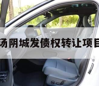 汤阴城发债权转让项目