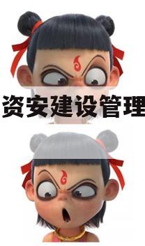 四川资安建设管理债权资产
