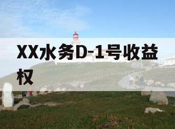 XX水务D-1号收益权