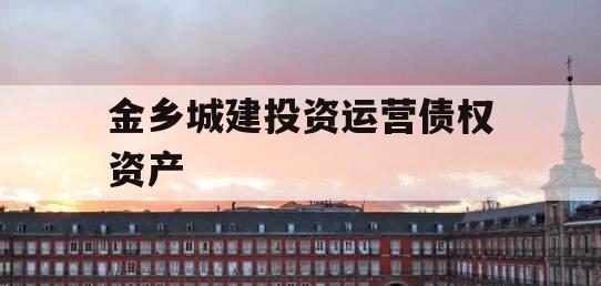 金乡城建投资运营债权资产