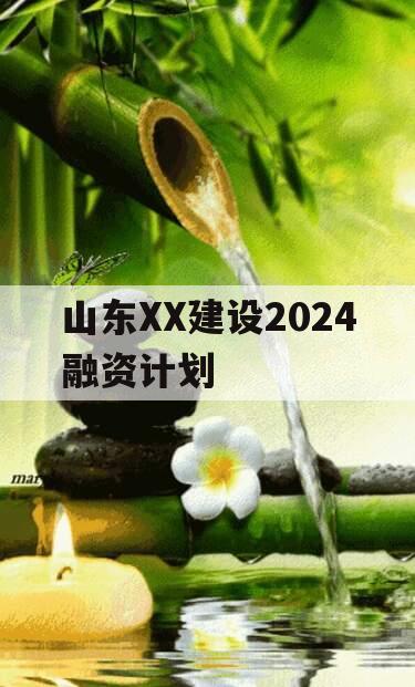 山东XX建设2024融资计划