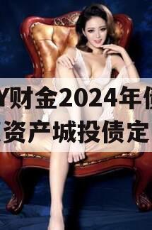 DY财金2024年债权资产城投债定融