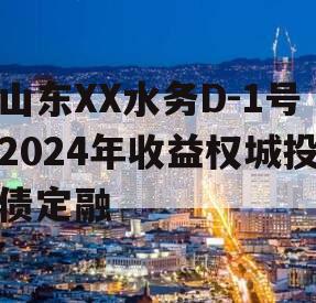 山东XX水务D-1号2024年收益权城投债定融
