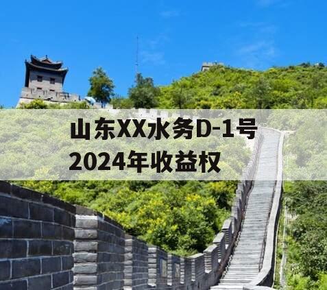 山东XX水务D-1号2024年收益权