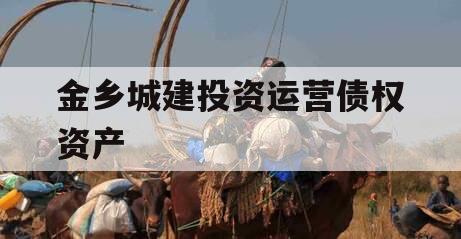 金乡城建投资运营债权资产