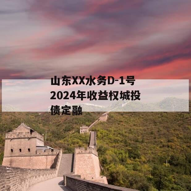 山东XX水务D-1号2024年收益权城投债定融