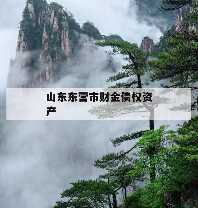 山东东营市财金债权资产