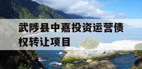 武陟县中嘉投资运营债权转让项目