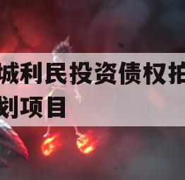 邹城利民投资债权拍卖计划项目