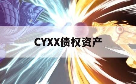 CYXX债权资产