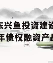 山东兴鱼投资建设2024年债权融资产品