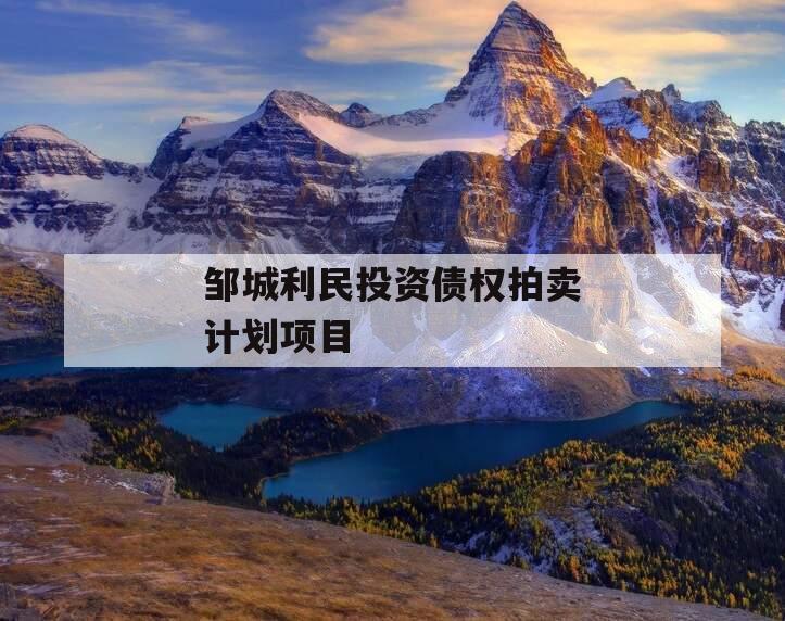 邹城利民投资债权拍卖计划项目