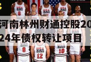 河南林州财通控股2024年债权转让项目
