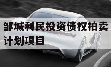 邹城利民投资债权拍卖计划项目