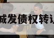 汤阴城发债权转让项目