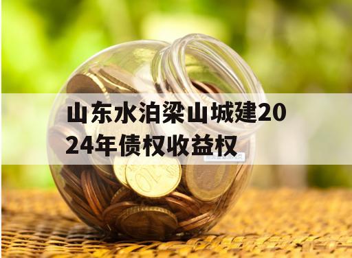山东水泊梁山城建2024年债权收益权